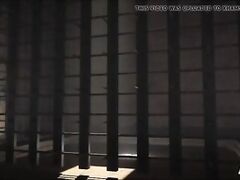 Lesbian futanari threesome adventure animation in Egypt